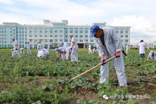 我院志愿者陪同患者康復(fù)訓(xùn)練 幫助其恢復(fù)社交能力5.webp.jpg