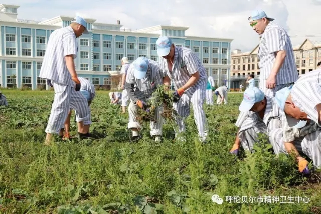 我院志愿者陪同患者康復(fù)訓(xùn)練 幫助其恢復(fù)社交能力4.webp.jpg