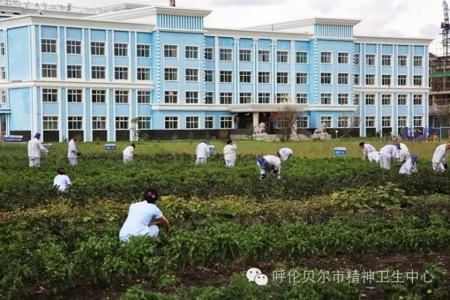 職業(yè)康復農(nóng)療基地——勞動中找快樂、促健康2.webp.jpg